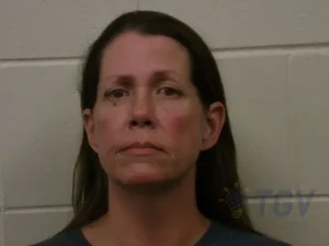 Booking photo for LEE, AMBER RENEE on 8/16/2026