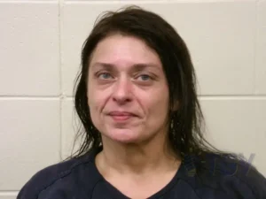 Booking photo for NESMITH, GLENNA JANETTE on 8/11/2026