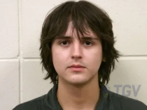 Booking photo for SANDOW, NOAH BENJAMIN THOMAS on 8/21/2026