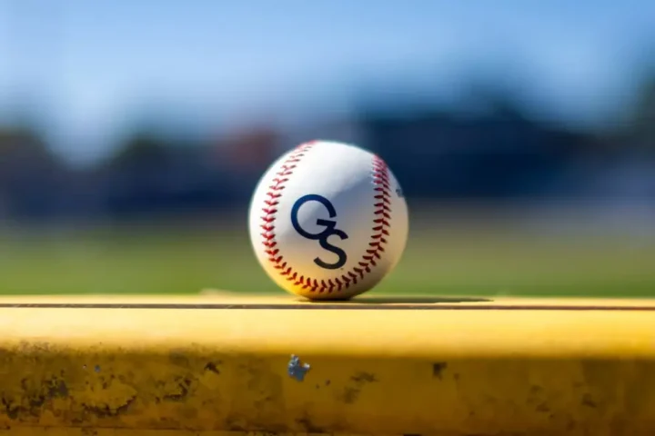 Baseball Stock
