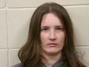 Booking photo for GILPATRICK, KRISTIN MARIE on 10/27/2026