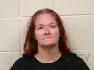 Booking photo for GWALTNEY, AMANDA MICHELLE on 10/23/2026