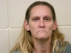 Booking photo for JAMES, MICHELLE COLLEEN on 10/16/2026