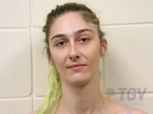 Booking photo for PHILLIPS, BRITTANY ANN on 10/22/2026